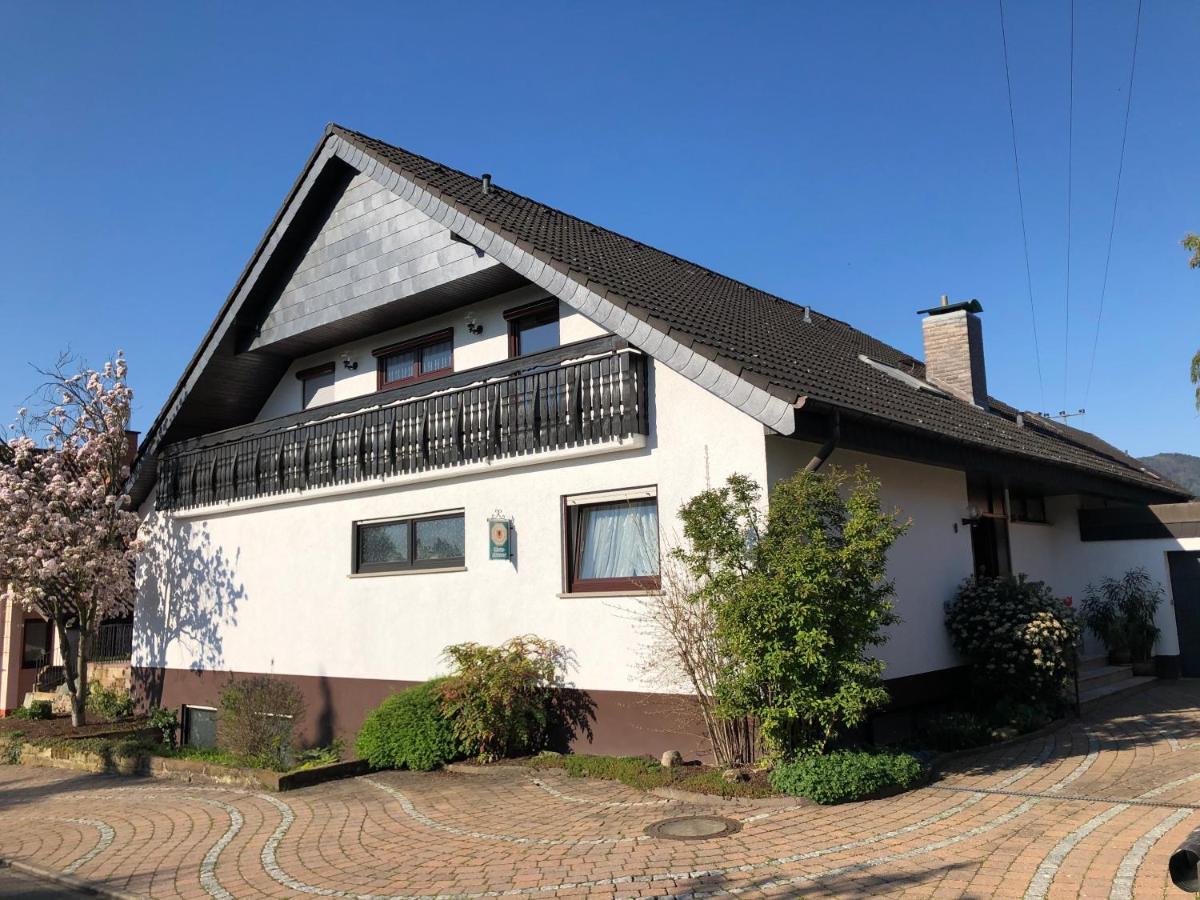 Nickel Haus Apartment Edenkoben Bagian luar foto