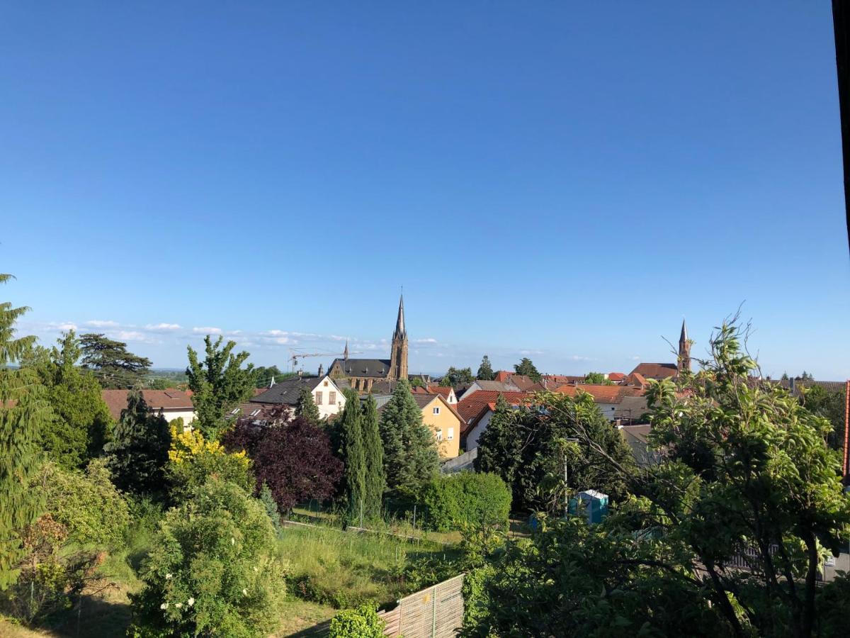 Nickel Haus Apartment Edenkoben Bagian luar foto