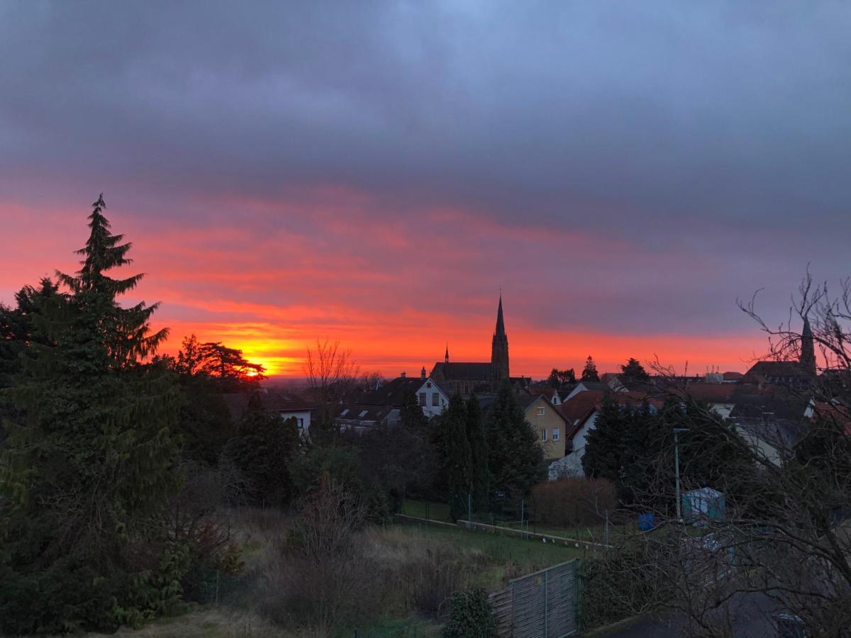 Nickel Haus Apartment Edenkoben Bagian luar foto