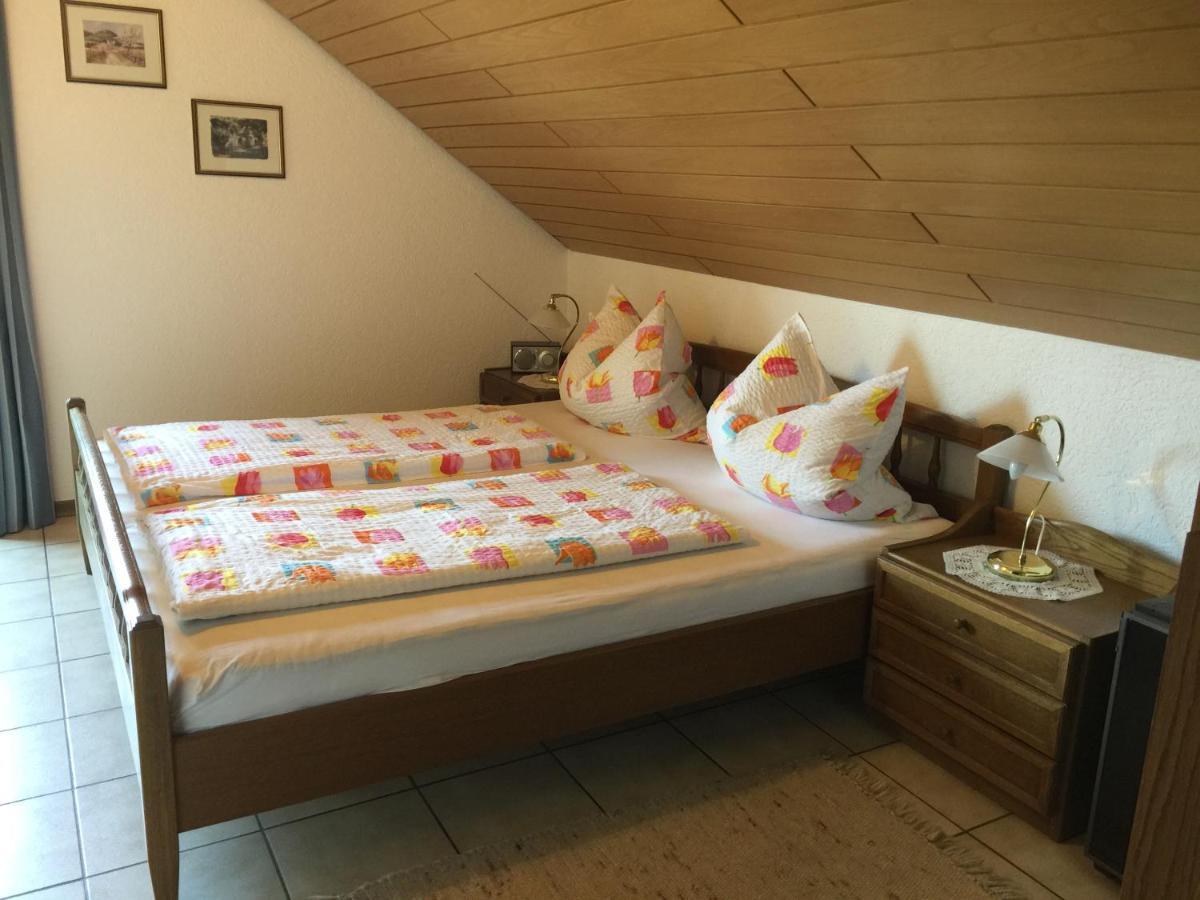 Nickel Haus Apartment Edenkoben Bagian luar foto