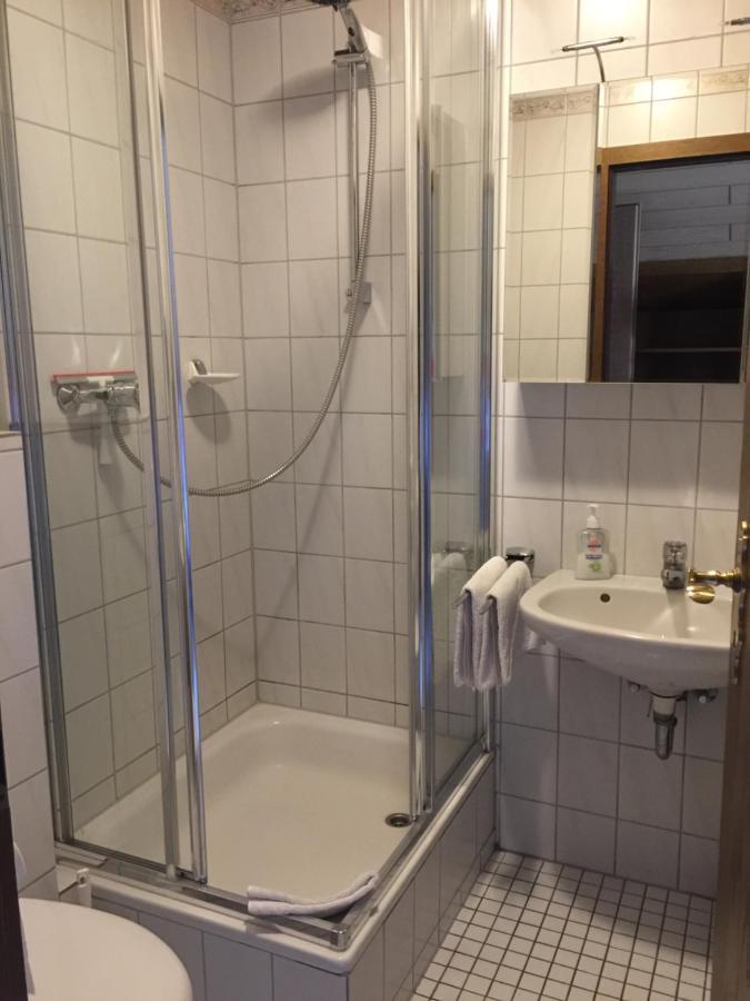 Nickel Haus Apartment Edenkoben Bagian luar foto