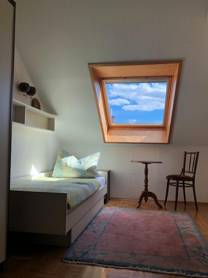 Nickel Haus Apartment Edenkoben Bagian luar foto